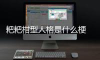 耙耙柑型人格是什么梗 梗意思介绍